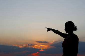 職業虛景 career veneer