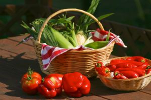 自產綠色食品 100-foot diet