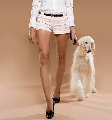 你也想要個“寵物男”?