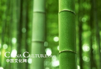 Four gentlemen in plants