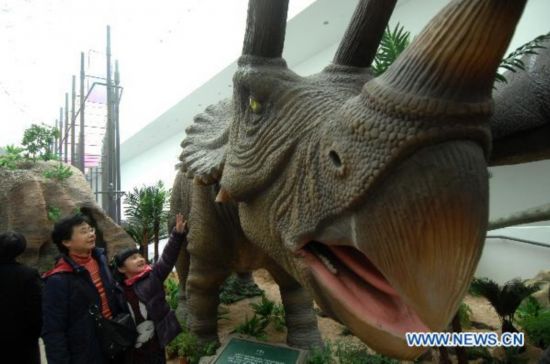 Fossil specimen exhibition held in Hangzhou