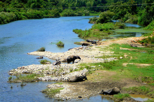 Visit Yao Li for An Idyllic Getaway