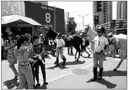 Making perfect horse sense