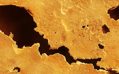 Taking a closer look at food