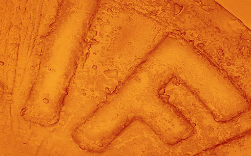 Taking a closer look at food