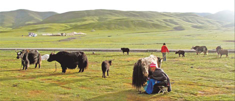 Education a passport to progress