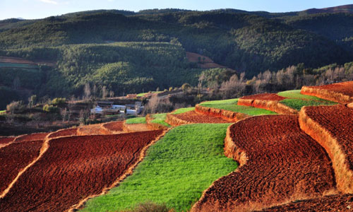The Color Palette Landscape of Dongchuan, Yunnan