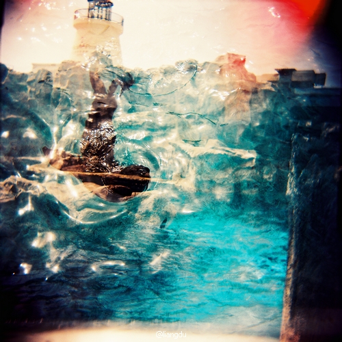 Meng Yalei's lomography