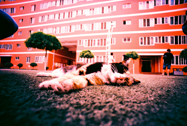 Bai Luoman's lomography