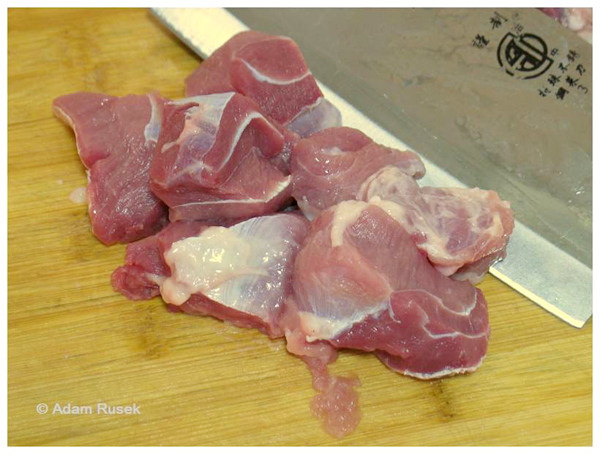 Merry Porky in burned forest