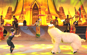 Ancient Chinese documents win UNESCO documentary recognition