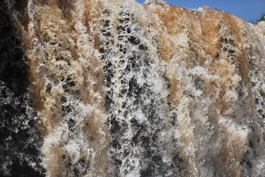 Photos of nature beauty on display