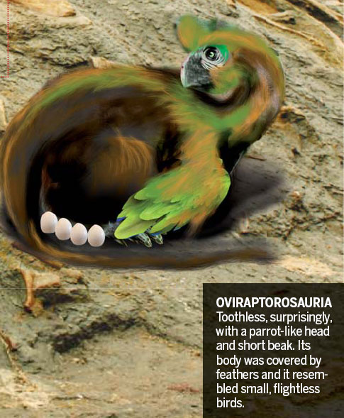 Dinosaur village offers new body of evidence