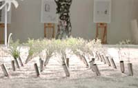 Time to trash waste problem