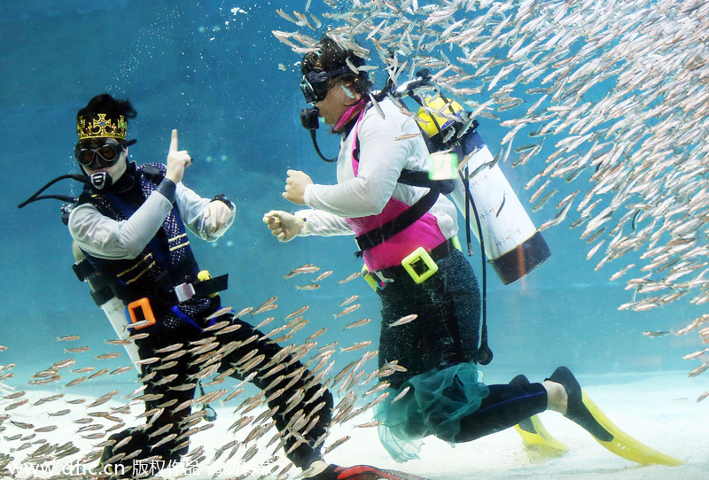 Cool jobs around the world