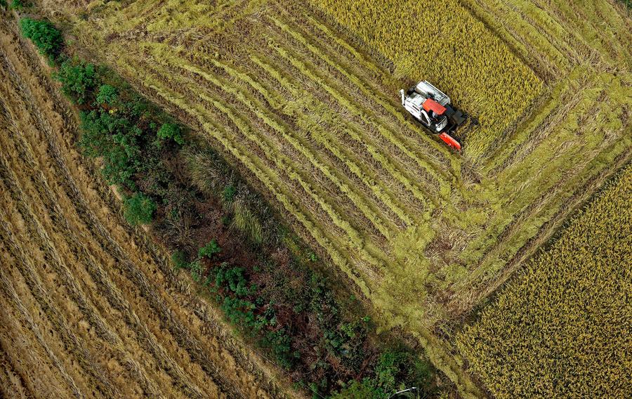 Stunning view of Feixi county in Anhui