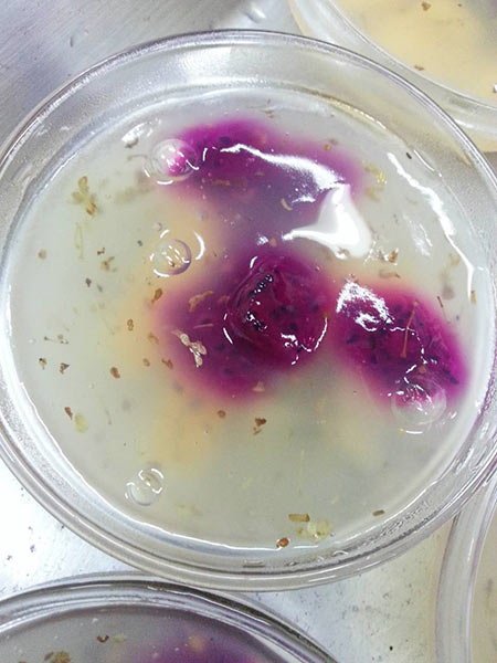 Chef transforms skill into luck