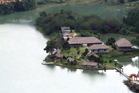 Walk on the wild side