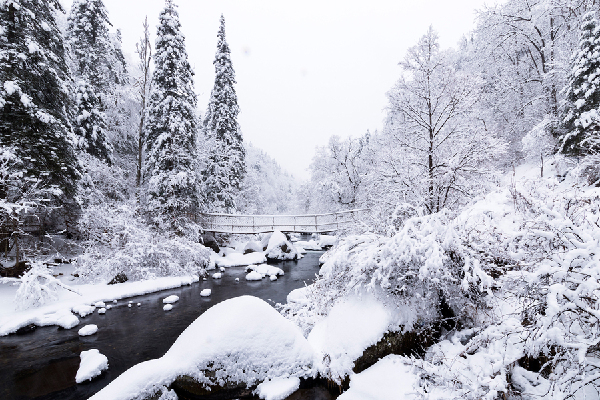 A winter wonderland in Jilin province