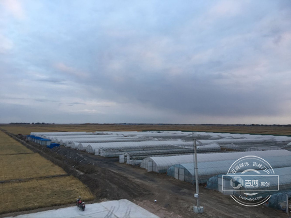 Ethnic culture, green agriculture and tourism -- the charm of Qian Gorlos County