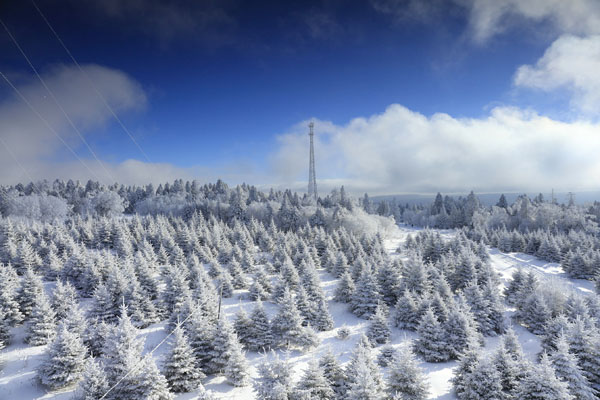 Yanbian: A paradise for international photographers