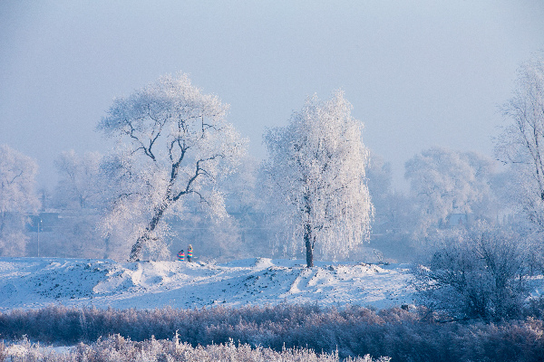 Rime Island in Jilin welcomes prime visiting season