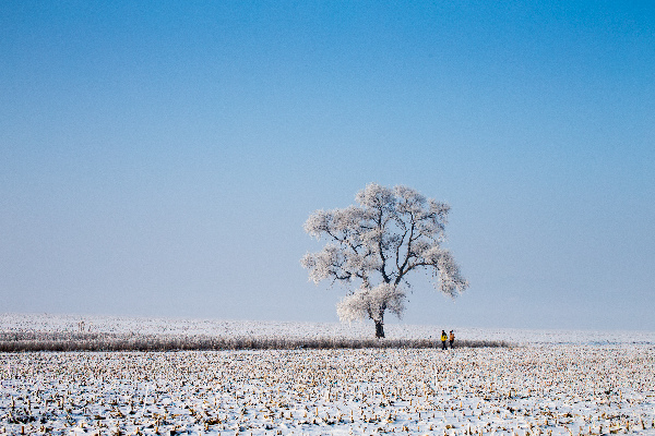 Rime Island in Jilin welcomes prime visiting season