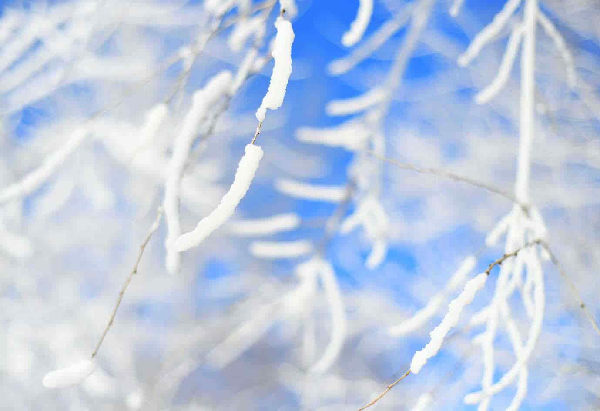 International media group visits Rime Island in Jilin