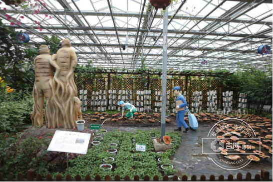 The 17th CCIAFF Expo opens in Changchun