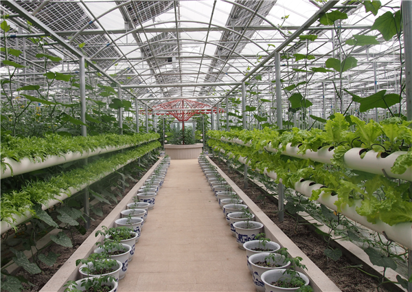 1479469475362065964.bmp 湖北能源