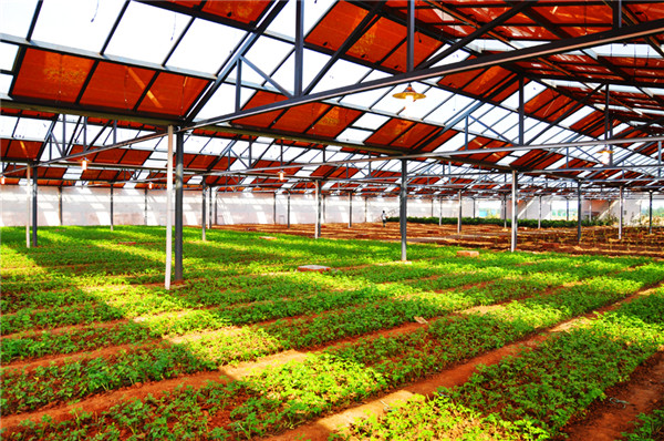 1478848787358044891.jpg 內蒙古新能源材料