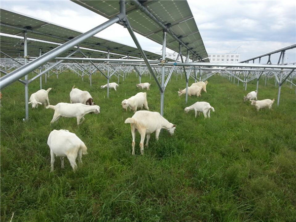 1478848787359026849.jpg 內蒙古新能源材料