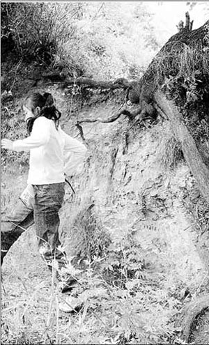 北大MBA夫婦帶女兒隱居終南山三年遍讀經典