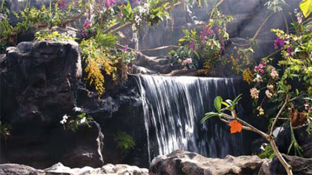 Mesmerizing experience has people coming back