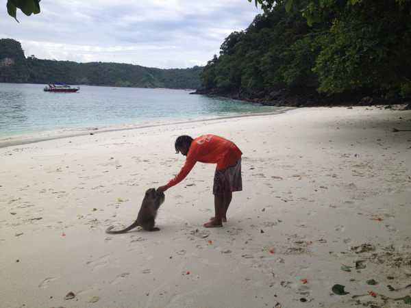 Krabi—a fabulous destination for diving