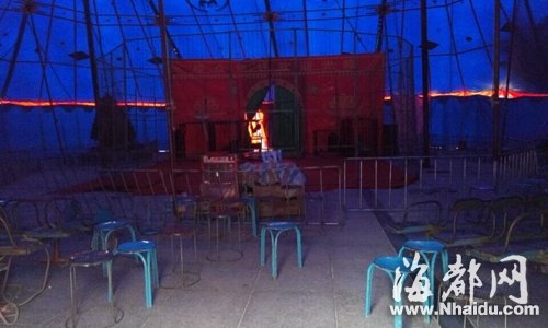 Tiger injures teen at circus in Putian