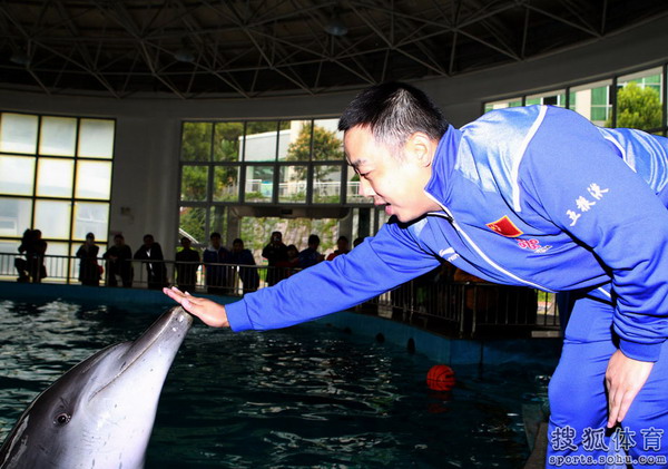 Xiamen appoints first Chinese white dolphin protection ambassador
