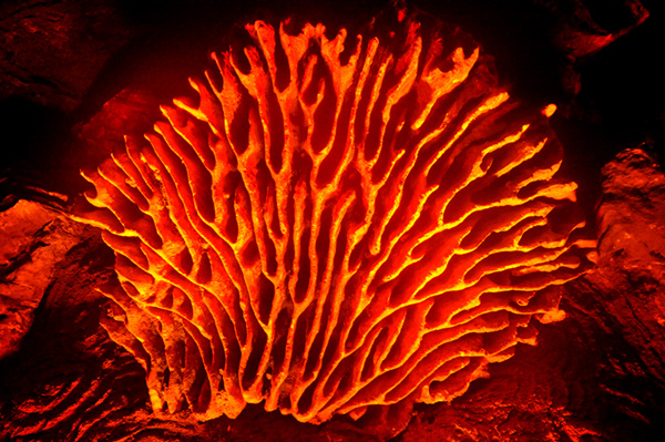 Fujian's highest karst cave opens to public