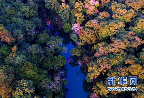 Sanming National Forest Park alive with color