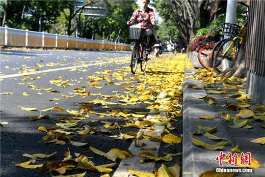 In pics: Autumn view in spring