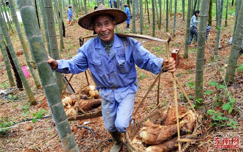 Jian'ou leapfrogs in bamboo industry