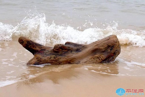 Sandy shores in Pingtan