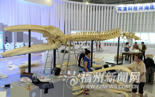 Tech fair ready to wow crowds from across Straits