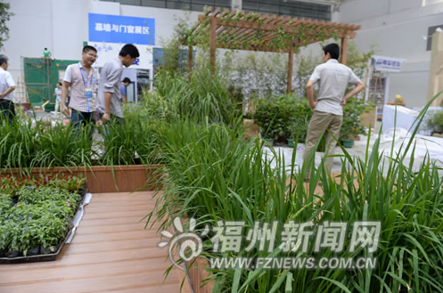 Tech fair ready to wow crowds from across Straits