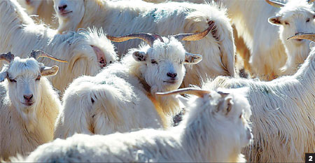 The shifting sands of change in an ancient land