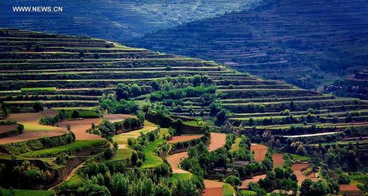 Gansu perfects art of building terraced fields