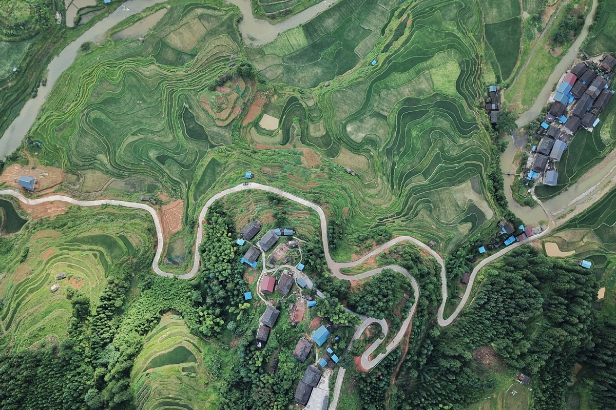 Scenery of Wuniangxi terraced field in Guizhou