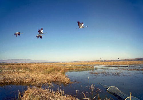 Guizhou's tourism revenue reaches 1.28b yuan during New Year