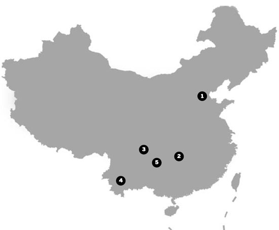 New agency development