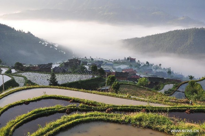 Beautiful sea of clouds scenery in China's Guizhou